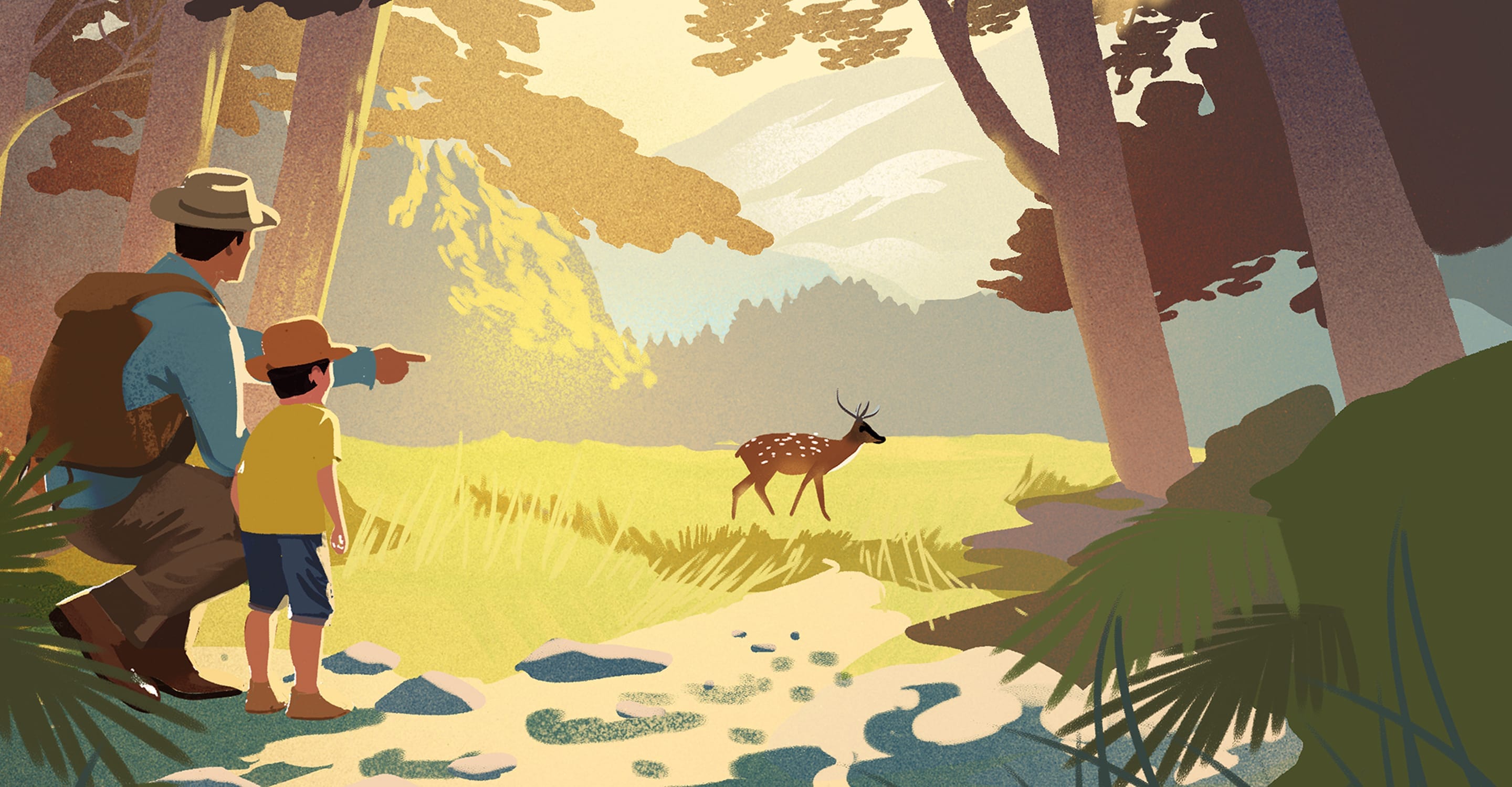 Frame 64900 1 Frame 64900 1